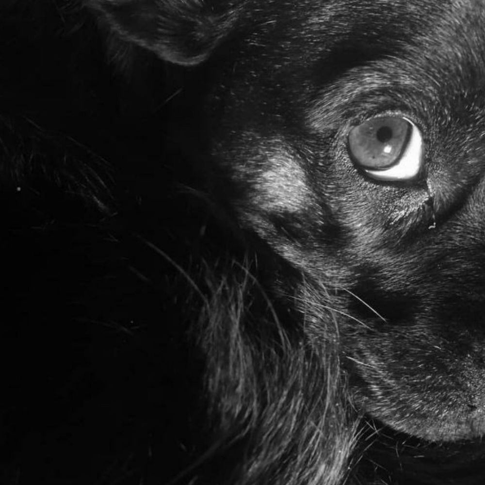 Letterboxd profile picture for @Zeroes