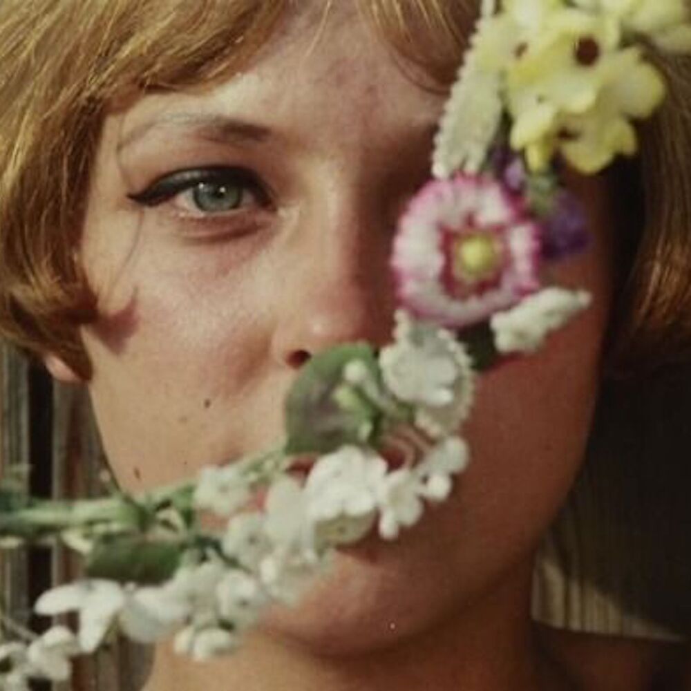 ‎exploding varmint’s profile • Letterboxd