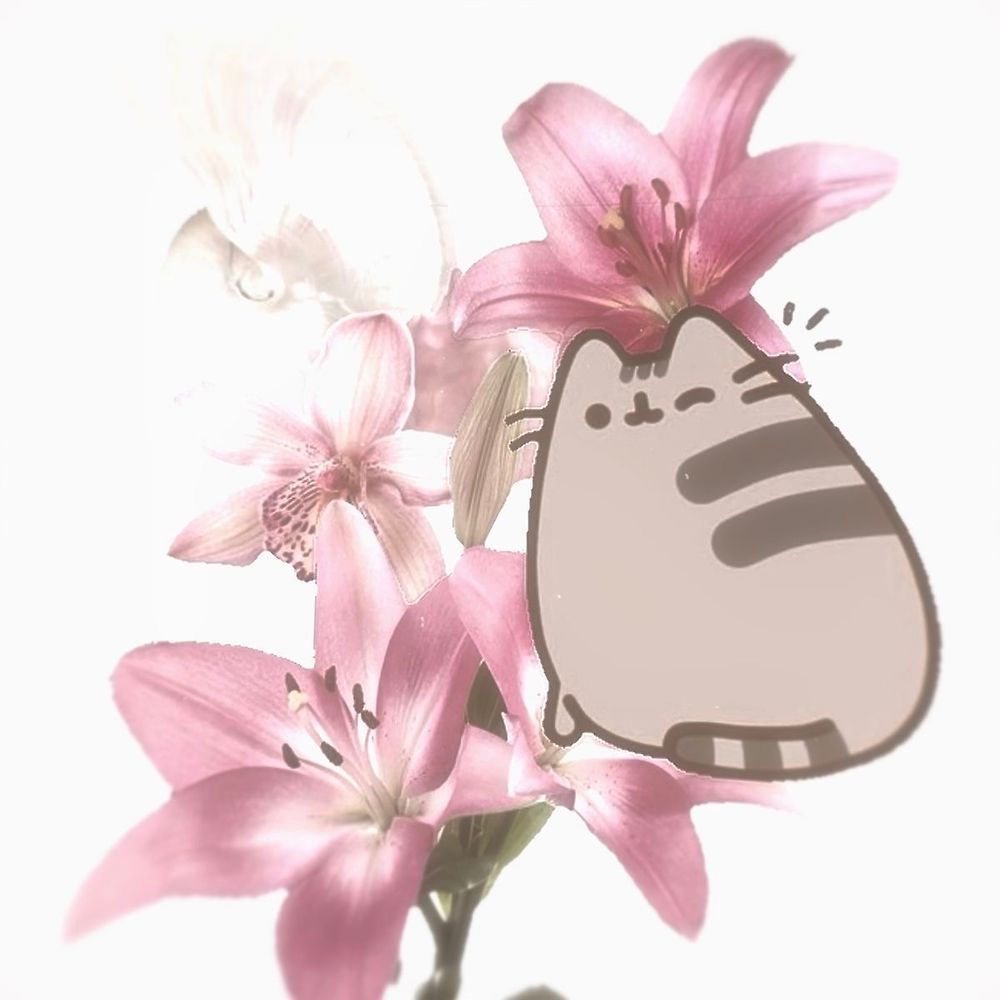 lori16-s-profile-letterboxd