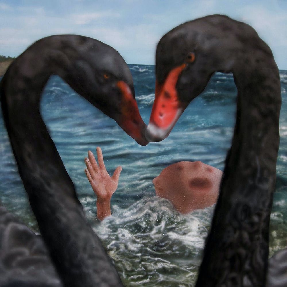 Letterboxd profile picture for @crane