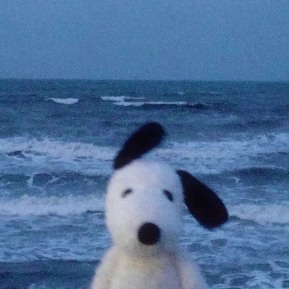 softboiledbby