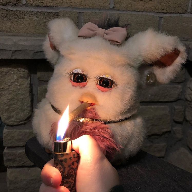 ‎disgustinghuman’s profile • Letterboxd