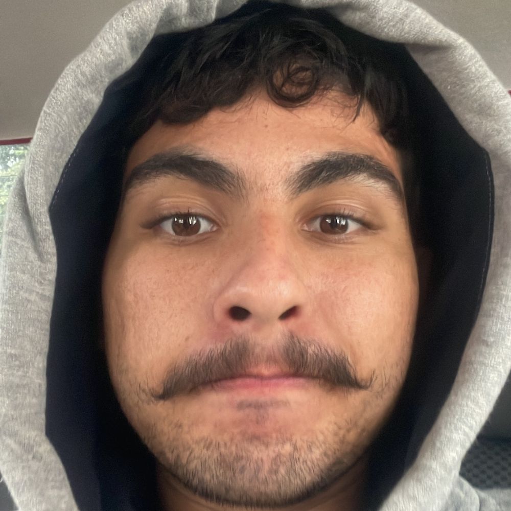 m-a-e-l-s-profile-letterboxd