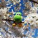 Yoshi 🍀