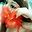 jenny
