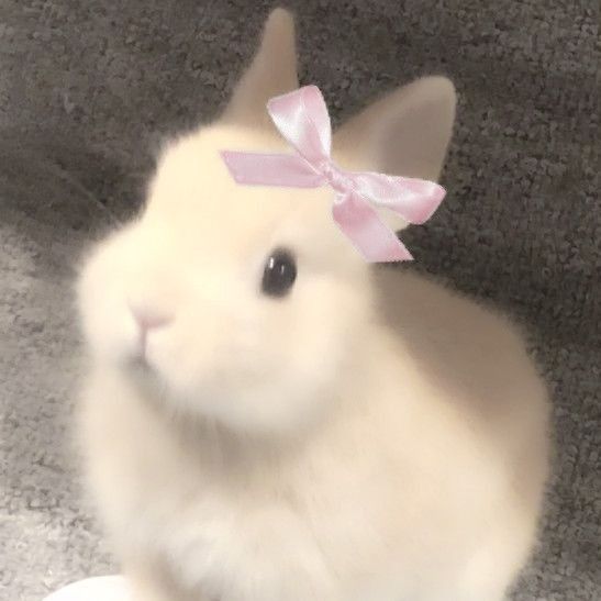 Aya ☆