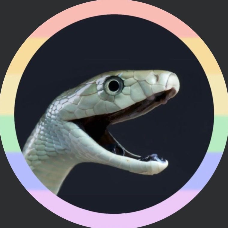 Letterboxd profile picture for @occasional