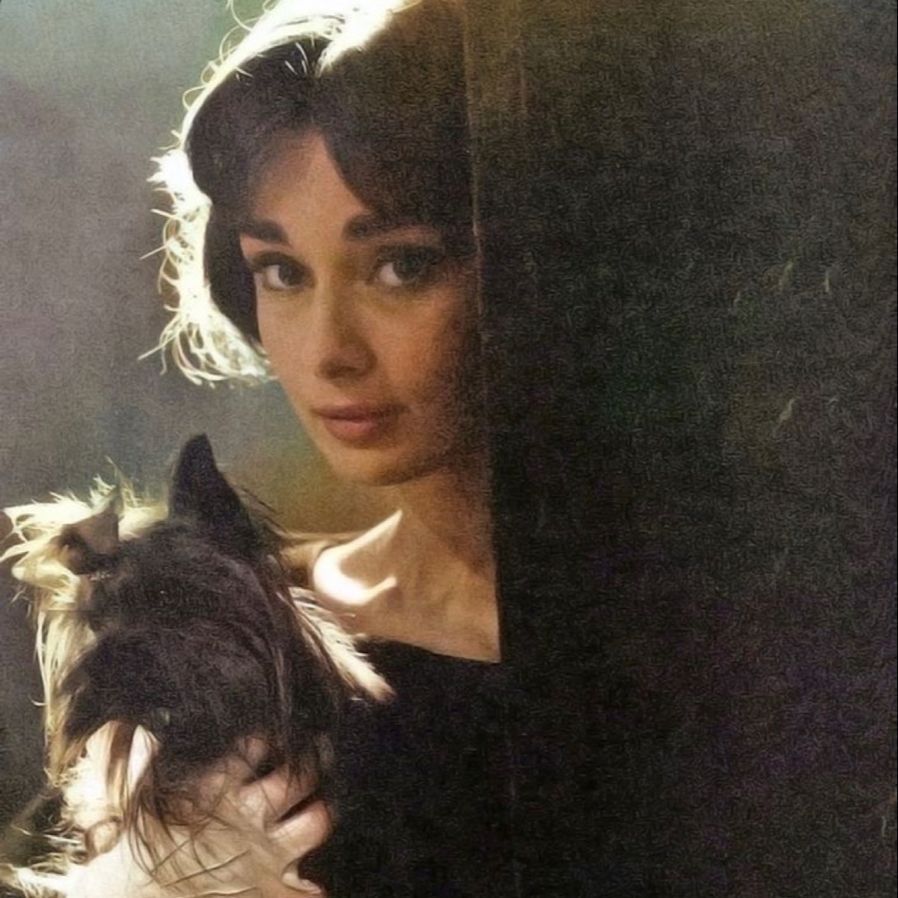 3layaa-s-profile-letterboxd