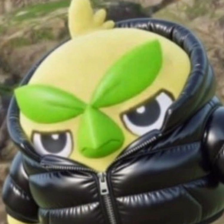 таоspooky Pookieтащs Profile тав Letterboxd