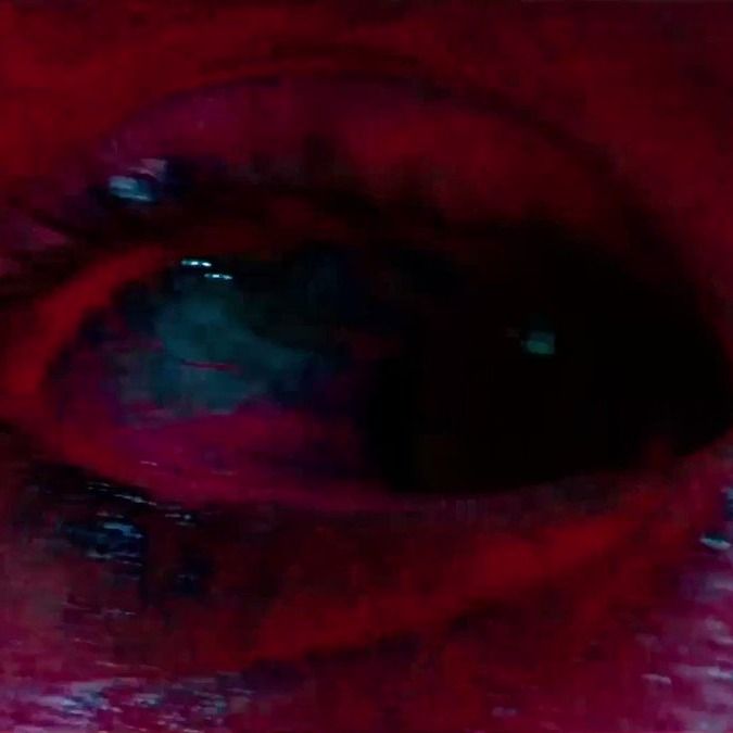 Letterboxd profile picture for @shove