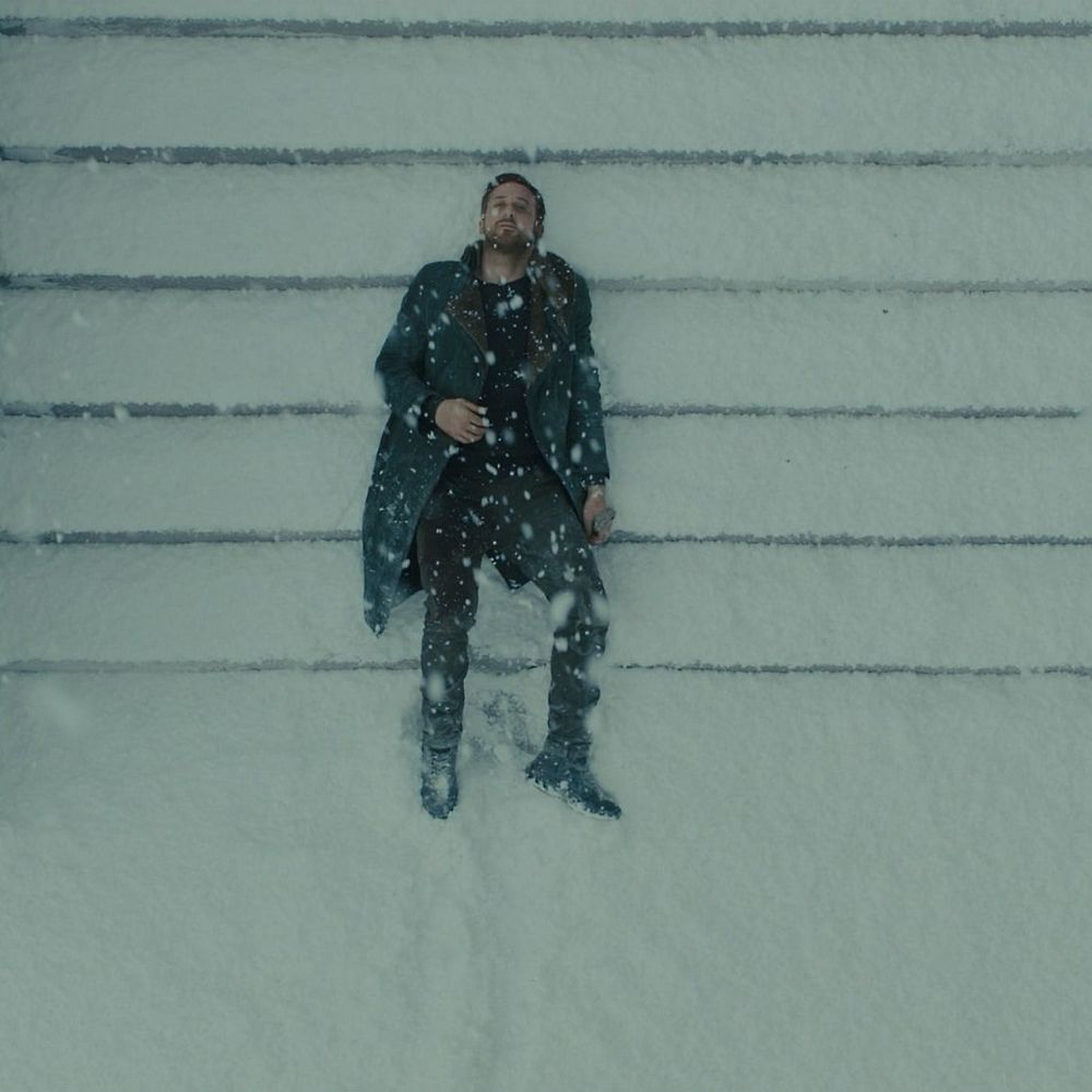 Letterboxd profile picture for @muil
