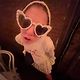 Farah_ms