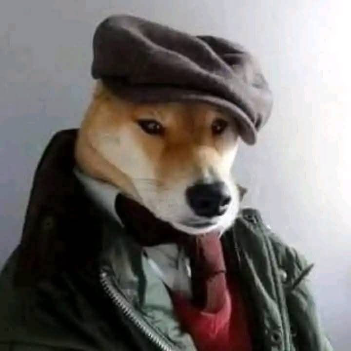 Letterboxd profile picture for @Ta_riq