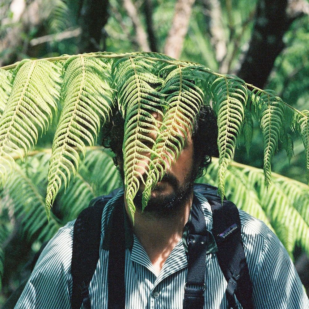 Letterboxd profile picture for @L00K