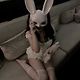 bunny