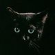 Meoward
