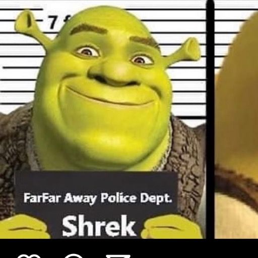 ‎Shrek’s profile • Letterboxd