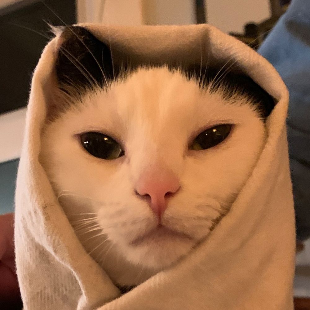 birdalien