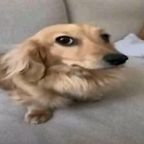 Hugi