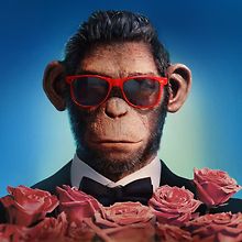 Come On, Do Better Man