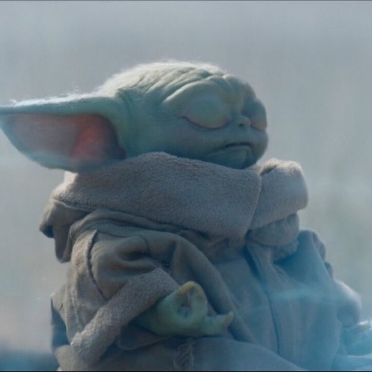 ‎pitis’s profile • Letterboxd