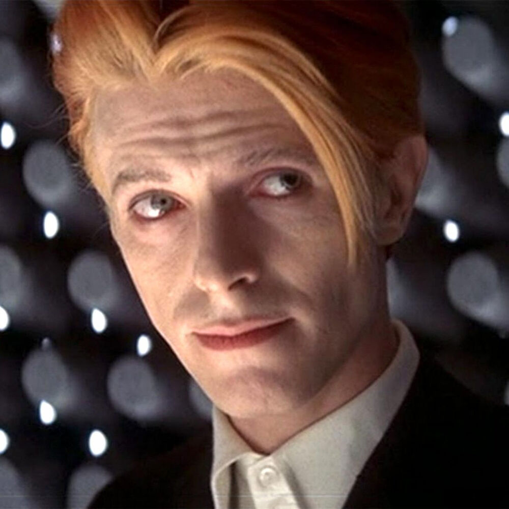 Letterboxd profile picture for @newton