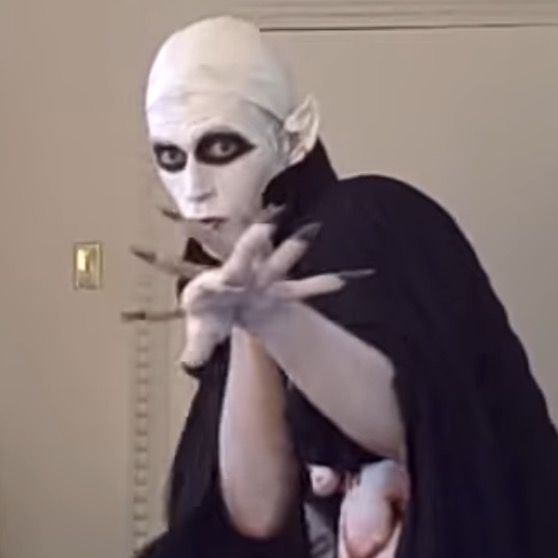 AlyShields
