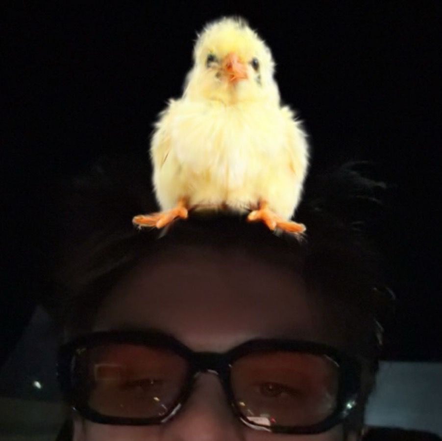 Letterboxd profile picture for @stranger