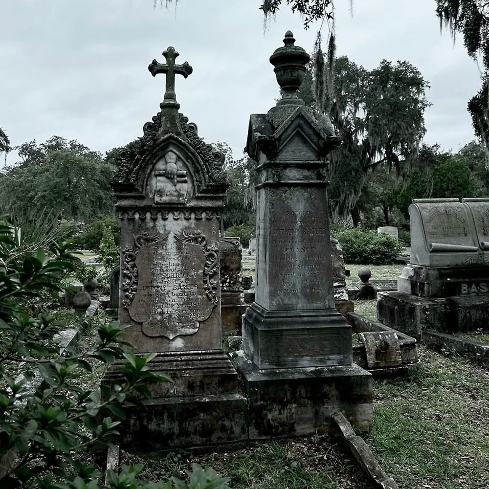 ‎shmal’s profile • Letterboxd