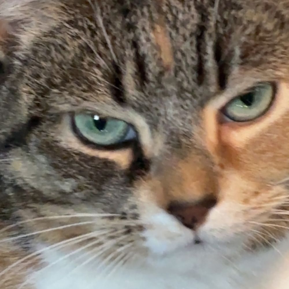 Letterboxd profile picture for @Words