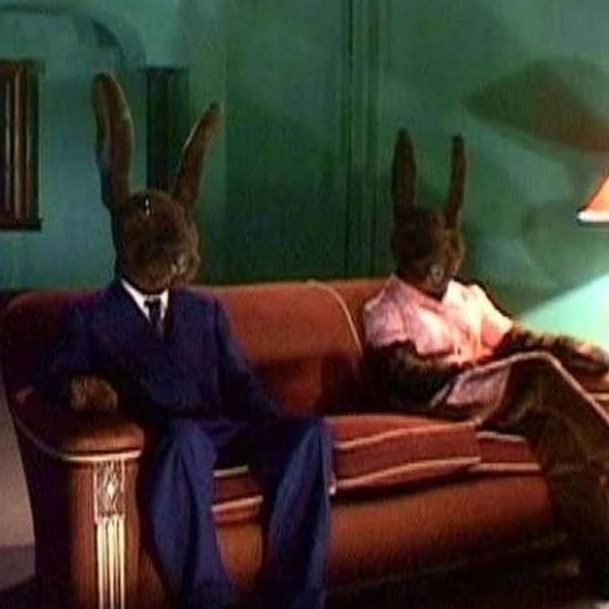 ‎Sitcom_Rabbit’s profile • Letterboxd