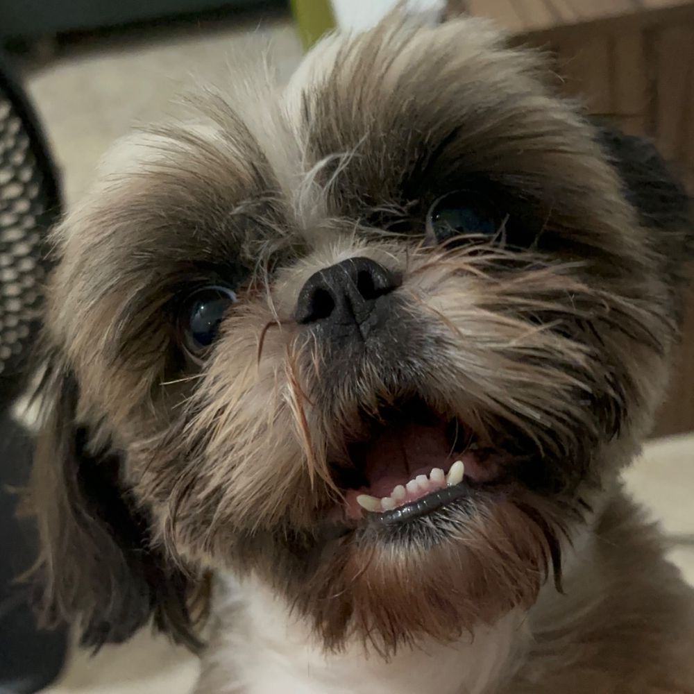 Letterboxd profile picture for @mg_dela