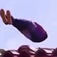 chef matt