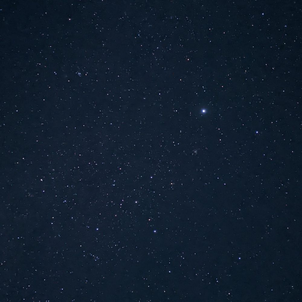kuni ⭐️