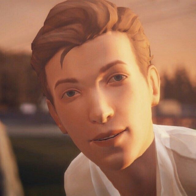 ilya🖕
