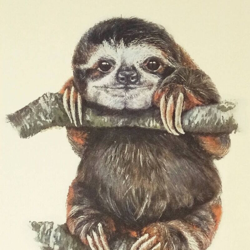 ‎Sloth’s profile • Letterboxd