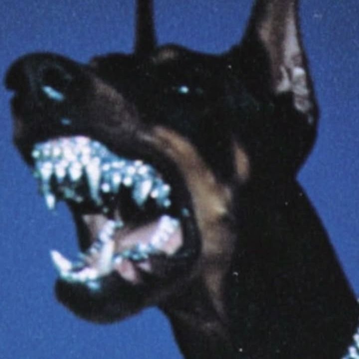 Letterboxd profile picture for @humored