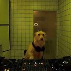 DJ Eribon