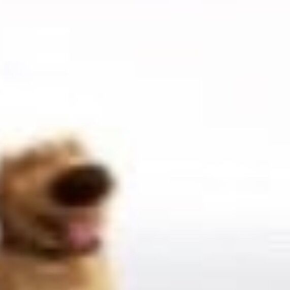 Letterboxd profile picture for @Isiah