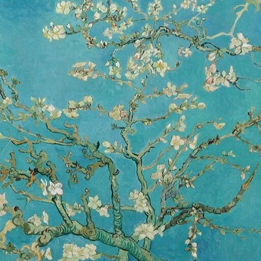 madison-s-profile-letterboxd