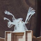 𝚮𝖆𝖗𝖑𝖊𝖖𝖚𝖎𝖓𝖆𝖉𝖊 🙏🏻