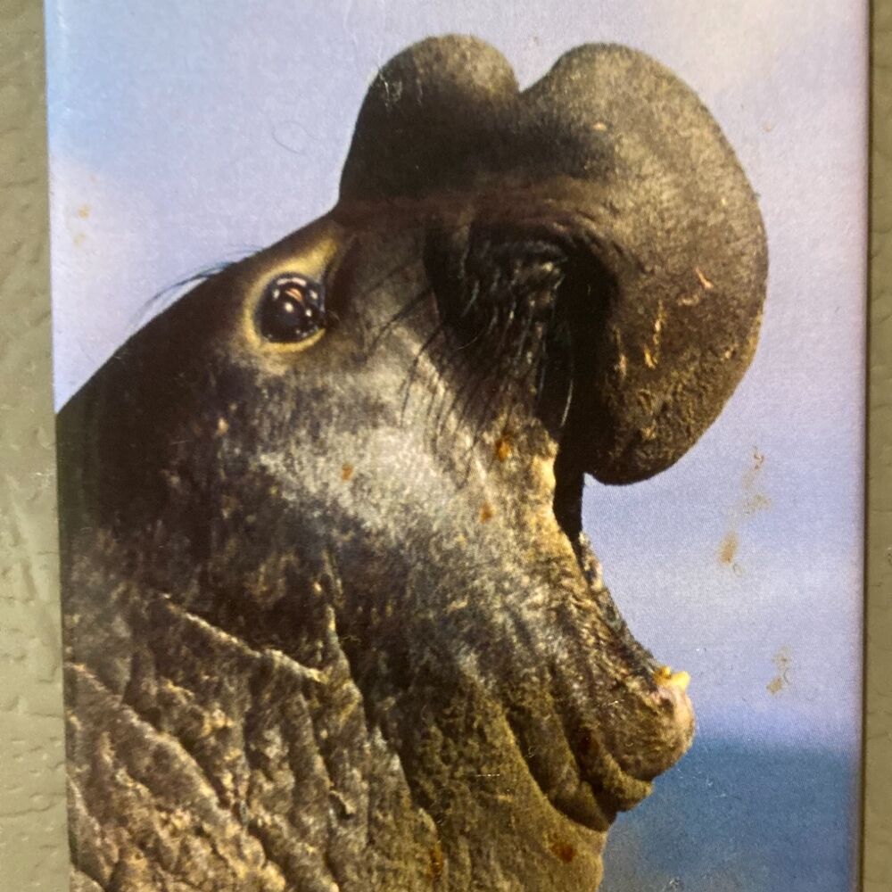 Letterboxd profile picture for @spectacular