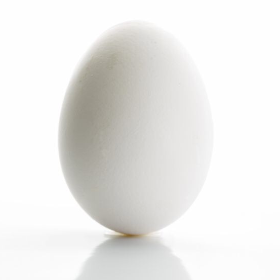 EggDiner
