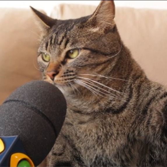 Letterboxd profile picture for @Kjstars