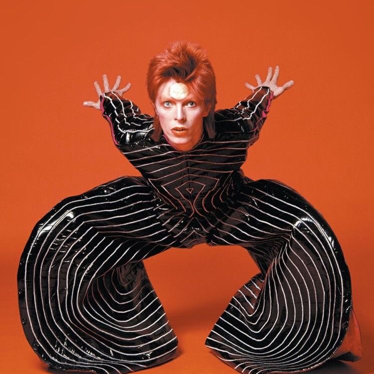 ‎meysa’s profile • Letterboxd