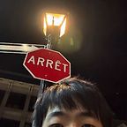 artemisfowl