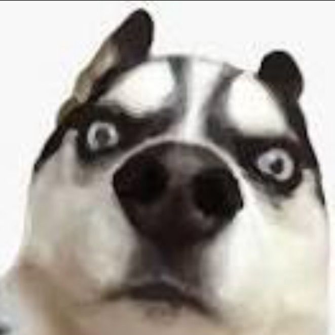 Letterboxd profile picture for @Thimeo