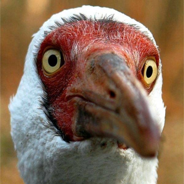 Letterboxd profile picture for @Kranich