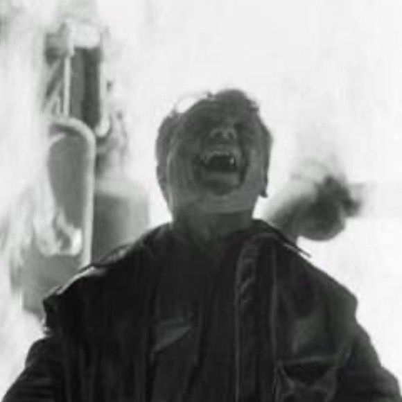 ‎Milad’s profile • Letterboxd