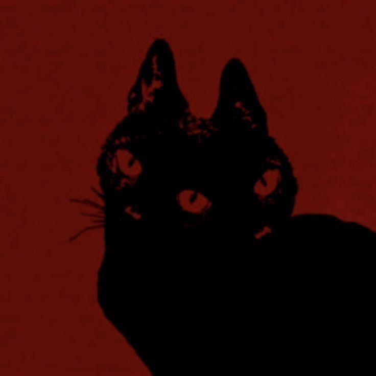 Letterboxd profile picture for @nerfyash